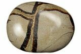 Polished Septarian Stones - 1.5" Size - Photo 3